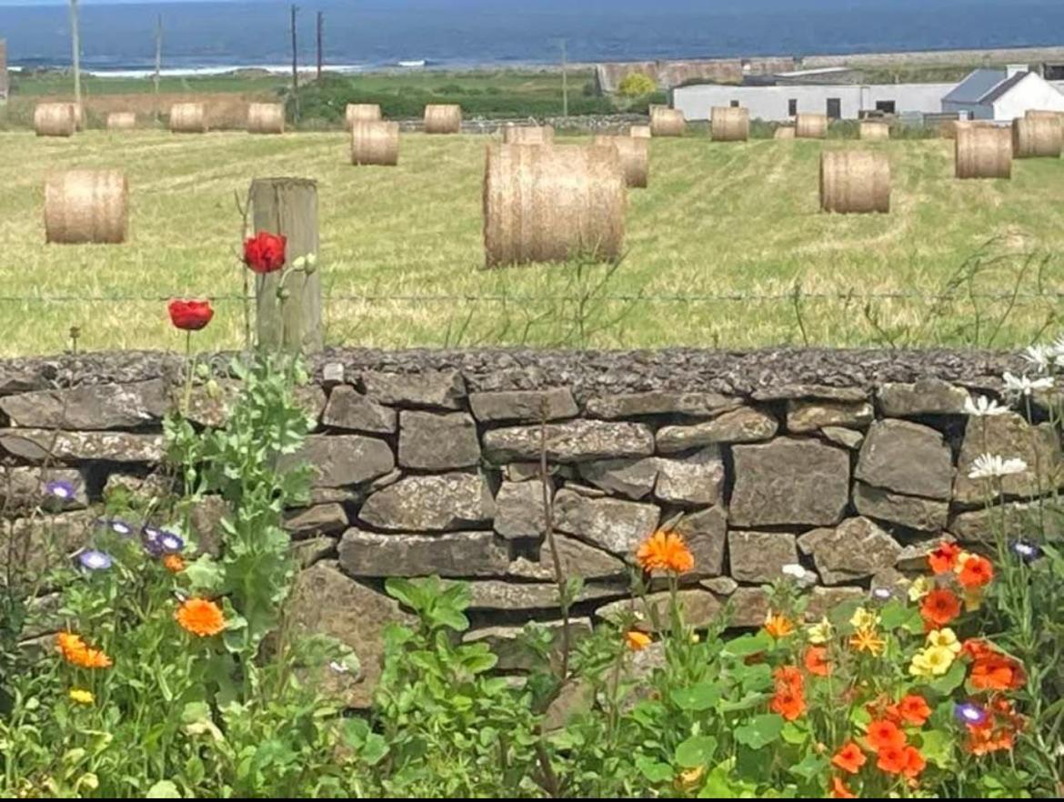 Wild Atlantic View Bed & Breakfast Sligo Eksteriør bilde